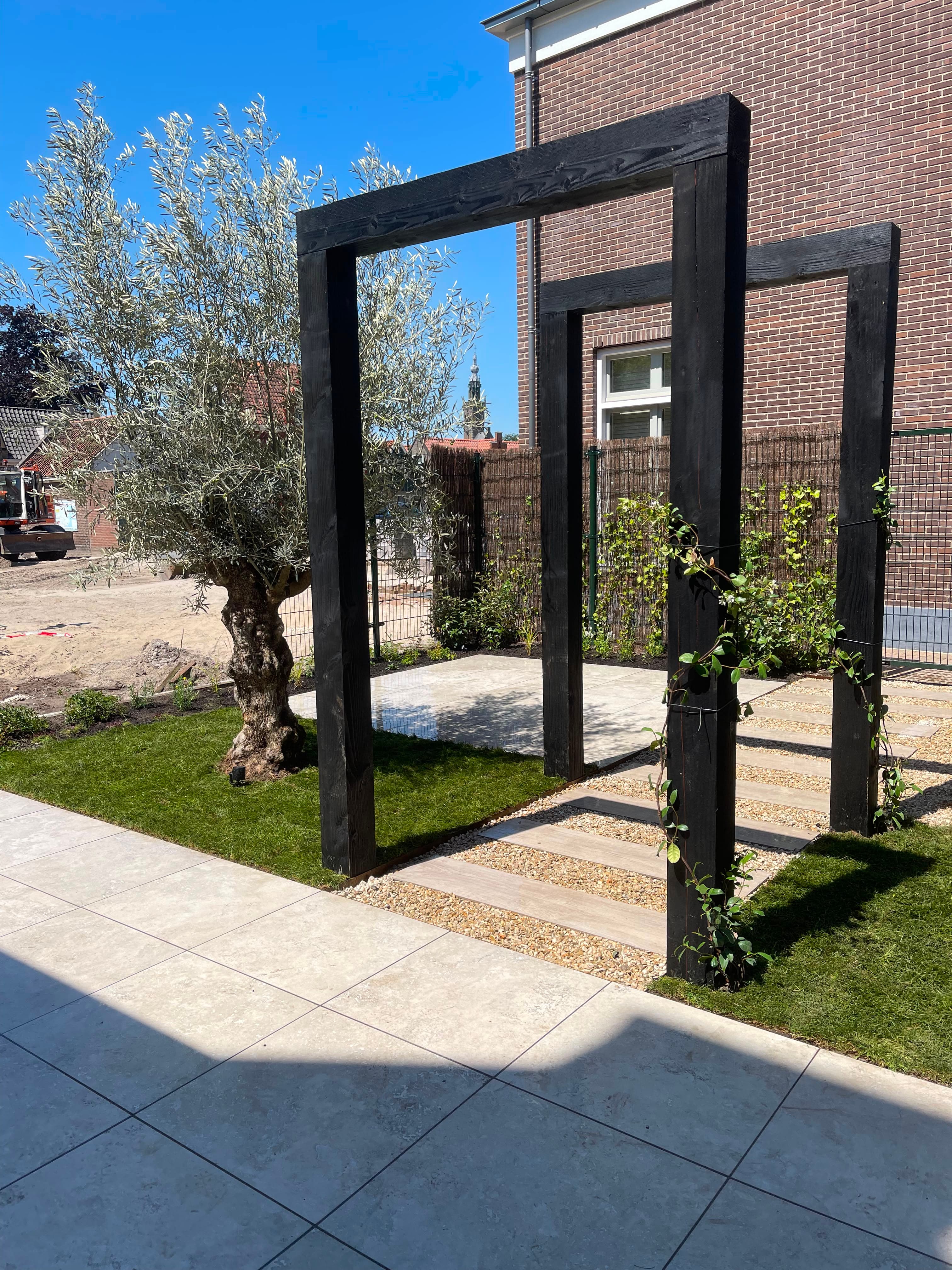 Zwarte stalen pergola-frames bij een olijfboom op gazon